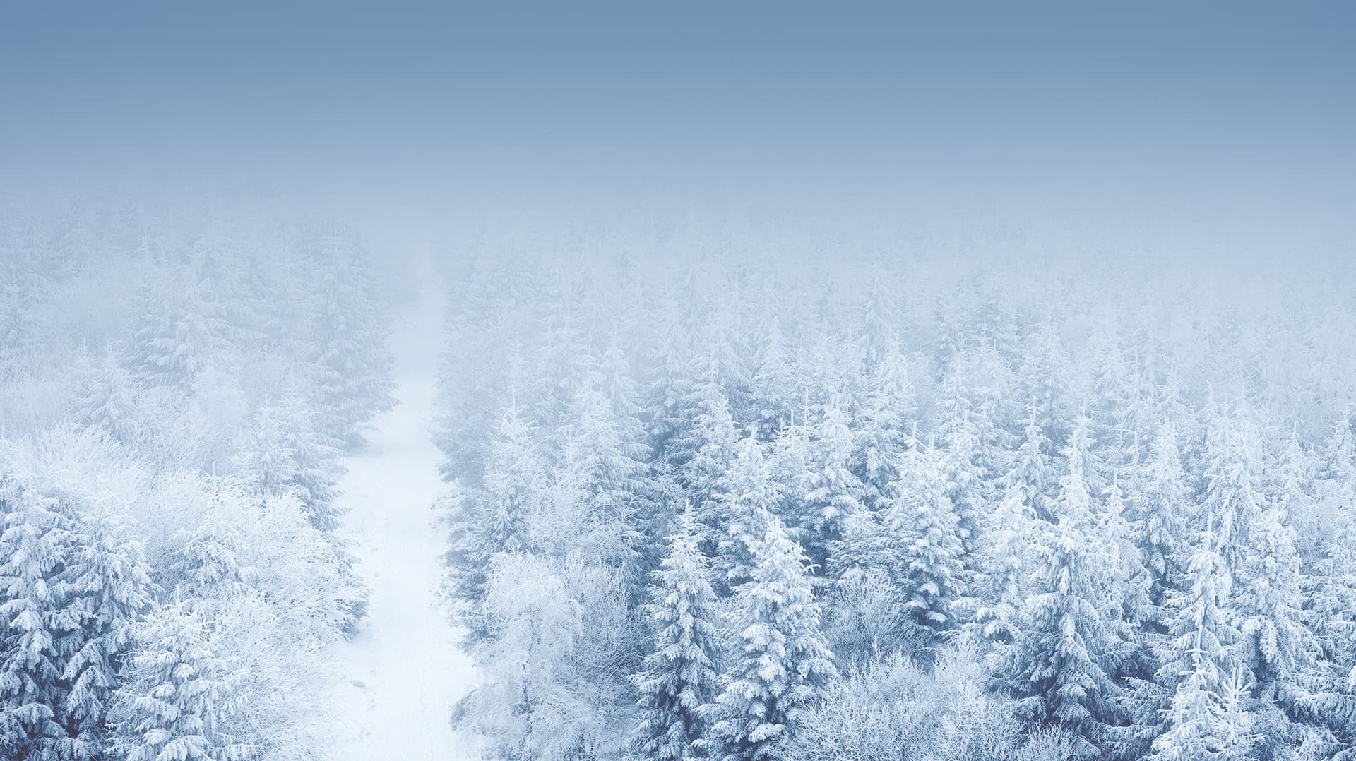 為您呈現指尖上的精彩互動