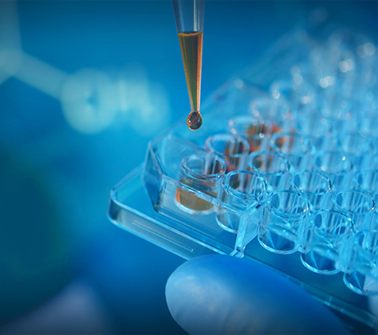 品生醫療-公司整站建設