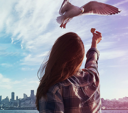 美遇留學-官網設計