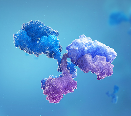 寶船生物製藥官網搭建