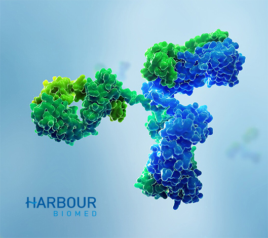 和鉑醫藥品牌網站開發