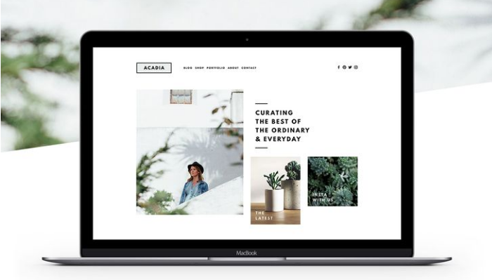 上海高端茄子视频污免费观看