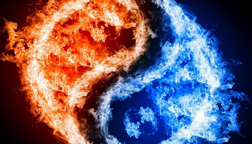 上海茄子视频污免费观看