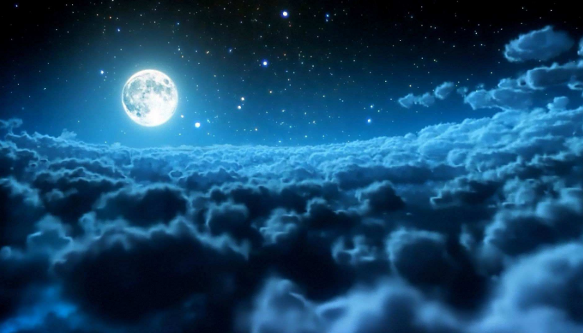 上海茄子视频污免费观看公司