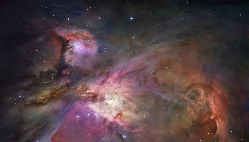 上海茄子视频污免费观看公司