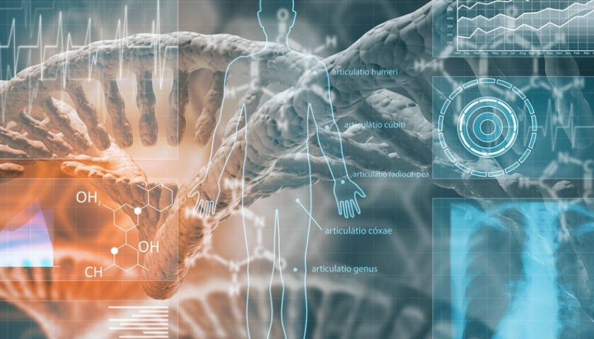 茄子视频污免费观看