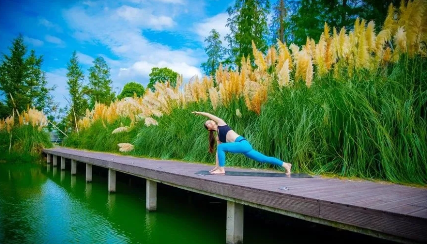 康複醫療茄子视频污免费观看