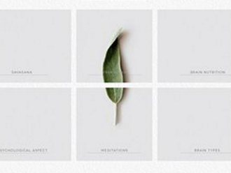 高端茄子视频污免费观看能夠讓企業曾曾日上