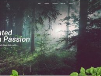 好的高端網站設計視覺效果告訴令人信服的故事