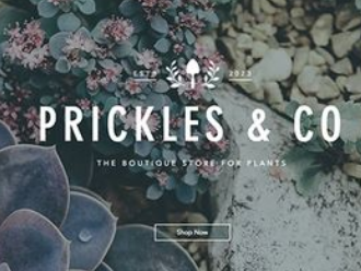 用戶訪問高端網站看起來更專業