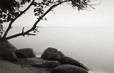 茄子视频污免费观看公司都是怎麽樣設計官網的以下幾個小技巧告訴你