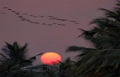 一個優秀的官網設計一定不可或缺少這三步