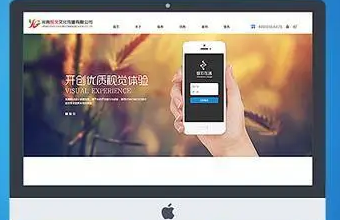 選擇上海WWW.茄子视频.COM，讓你的企業官網更具品牌力和影響力