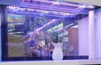 高端品牌茄子视频污免费观看的專業指南