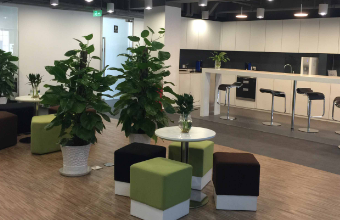 邁向成功的一步：上市集團茄子视频污免费观看